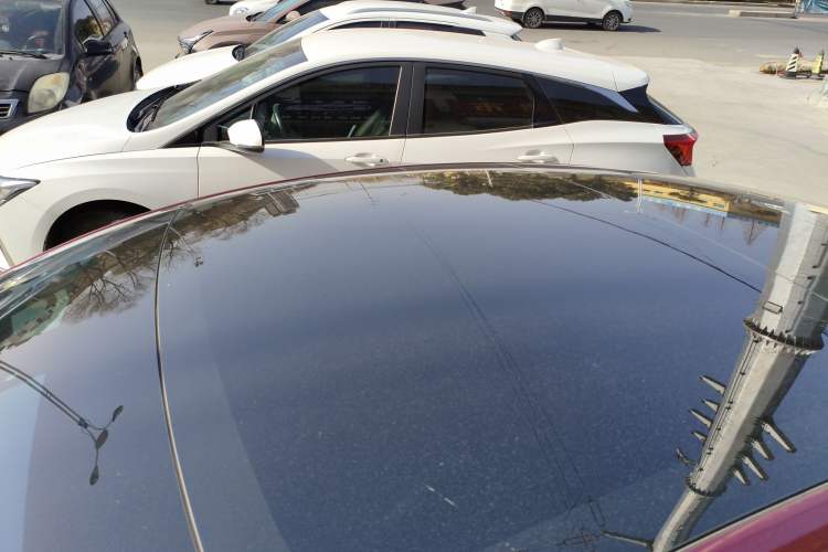 Used Tesla Model 3 2022 Rear-Wheel-Drive Version Roof