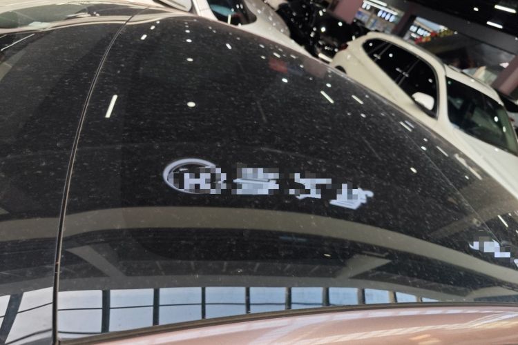 Used Tesla Model 3 2022 Rear-Wheel-Drive Version Roof