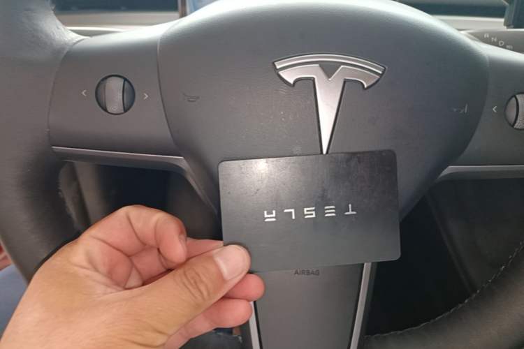 Used Tesla Model 3 2022 Rear-Wheel-Drive Version Vehicle Key