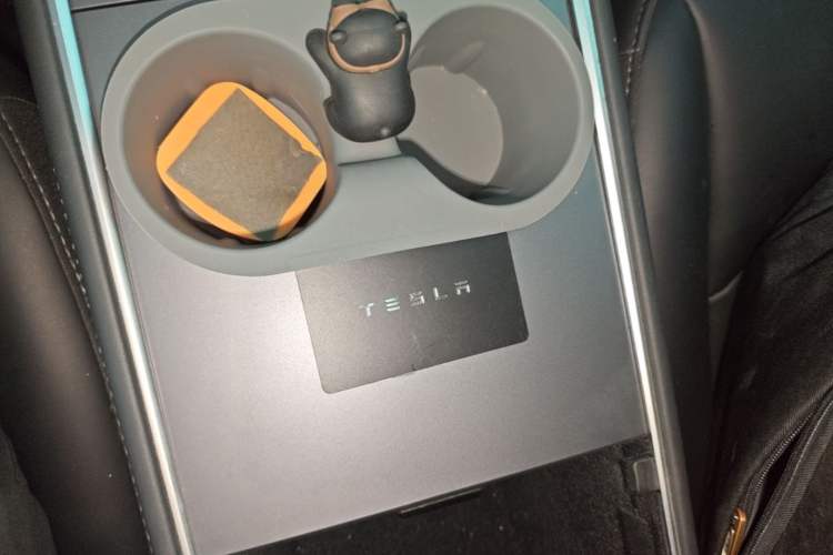 Used Tesla Model 3 2022 Rear-Wheel-Drive Version Vehicle Key