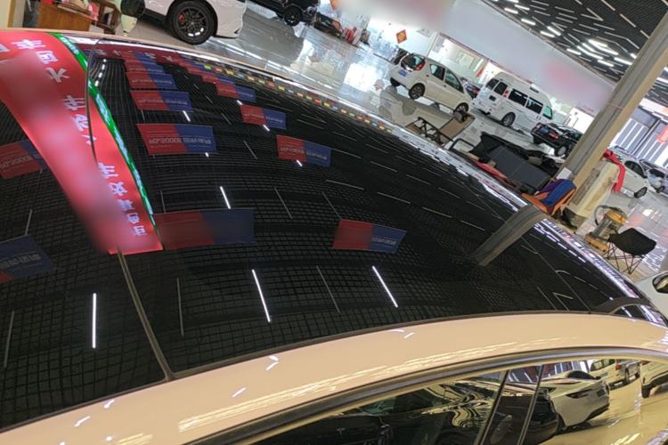 Used Tesla Model 3 2022 Rear-Wheel-Drive Version Roof