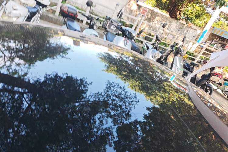 Used Tesla Model 3 2022 Rear-Wheel-Drive Version Roof