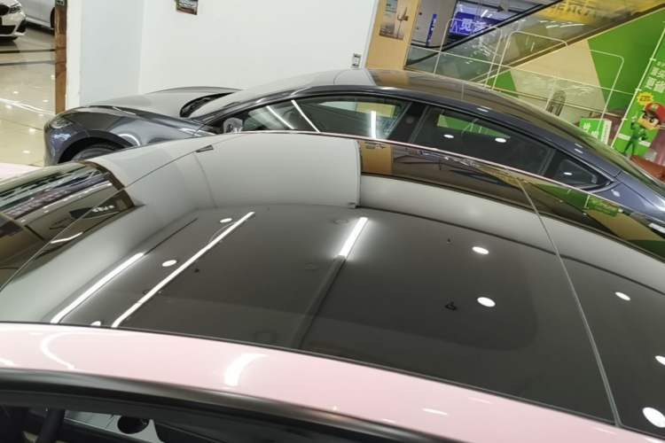 Used Tesla Model 3 2022 Performance High-Performance All-Wheel-Drive Version Roof