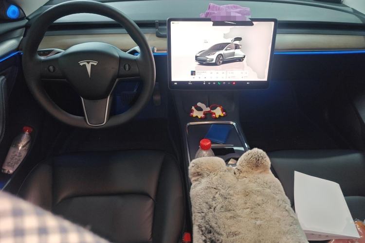 Used Tesla Model 3 2022 Rear-Wheel-Drive Version Center Console