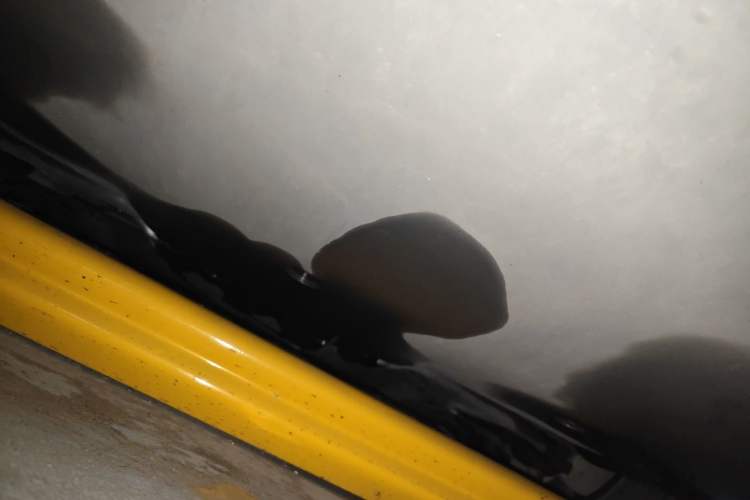Used Tesla Model 3 2022 Rear-Wheel-Drive Version Chassis Rear