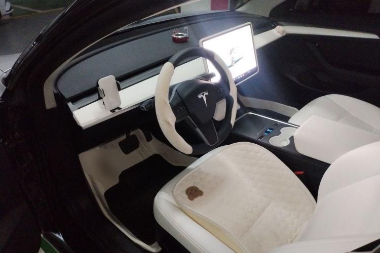 Used Tesla Model 3 2022 Rear-Wheel-Drive Version Driver Seat
