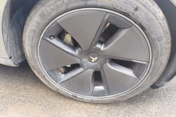 Used Tesla Model 3 2022 Rear-Wheel-Drive Version Exterior 1