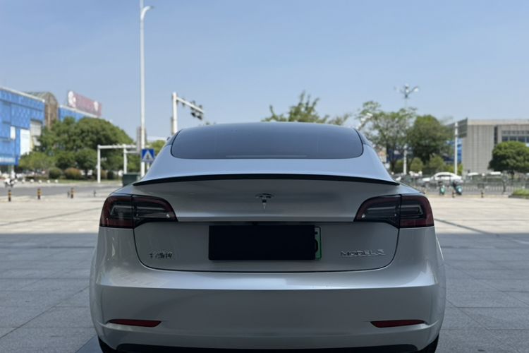 Used Tesla Model 3 2022 Performance High-Performance All-Wheel-Drive Version Exterior 4