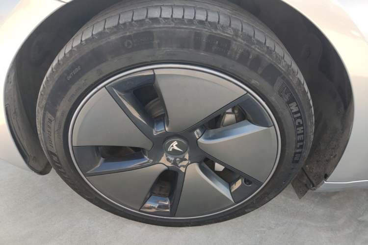 Used Tesla Model 3 2022 Rear-Wheel-Drive Version Exterior 4