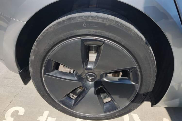 Used Tesla Model 3 2022 Rear-Wheel-Drive Version Exterior 5