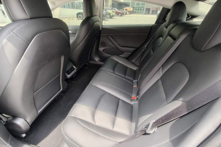 Used Tesla Model 3 2022 Rear-Wheel-Drive Version Exterior 7