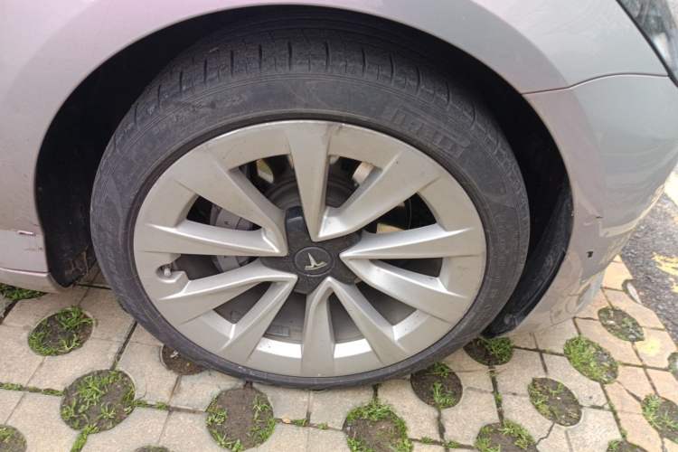 Used Tesla Model 3 2022 Rear-Wheel-Drive Version Exterior 7