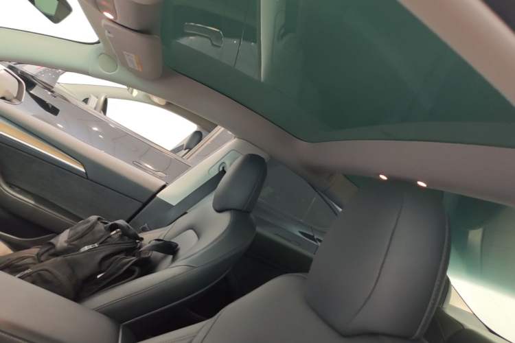 Used Tesla Model 3 2022 Rear-Wheel-Drive Version Headliner