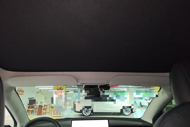 Used Tesla Model 3 2022 Rear-Wheel-Drive Version Headliner