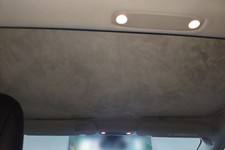 Used Tesla Model 3 2022 Performance High-Performance All-Wheel-Drive Version Headliner