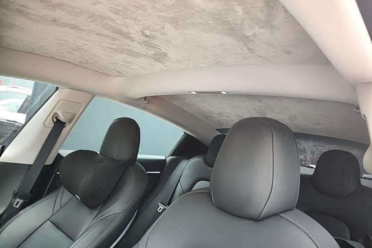 Used Tesla Model 3 2022 Rear-Wheel-Drive Version Headliner