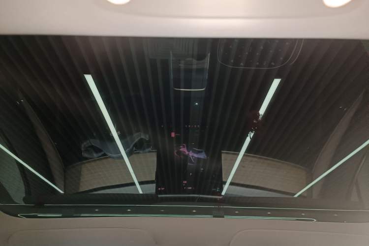 Used Tesla Model 3 2022 Rear-Wheel-Drive Version Headliner