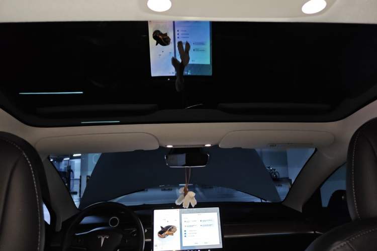 Used Tesla Model 3 2022 Rear-Wheel-Drive Version Headliner
