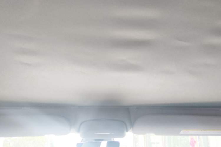 Used Tesla Model 3 2022 Rear-Wheel-Drive Version Headliner