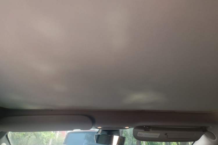 Used Tesla Model 3 2022 Rear-Wheel-Drive Version Headliner
