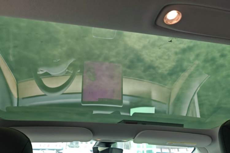 Used Tesla Model 3 2022 Rear-Wheel-Drive Version Headliner