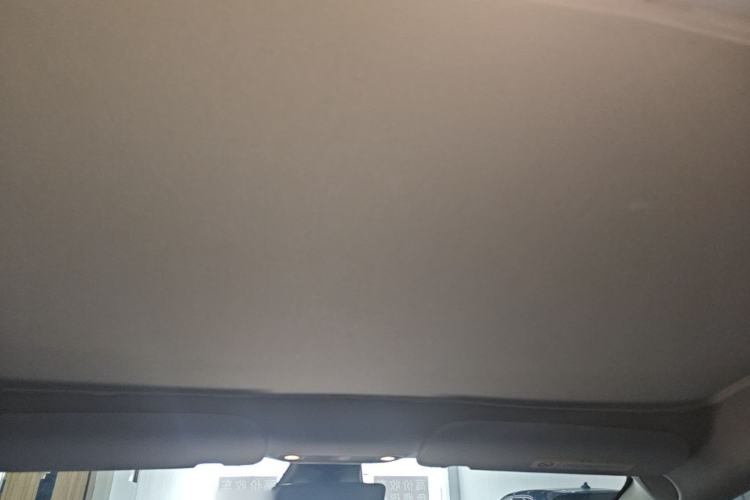 Used Tesla Model 3 2022 Performance High-Performance All-Wheel-Drive Version Headliner