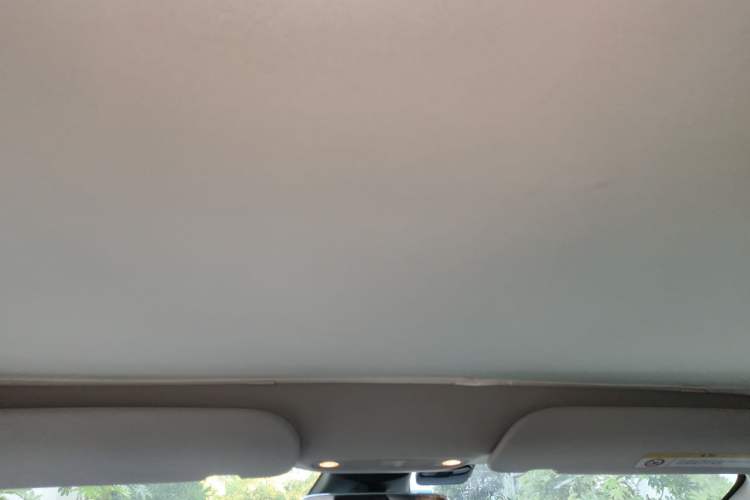 Used Tesla Model 3 2022 Rear-Wheel-Drive Version Headliner