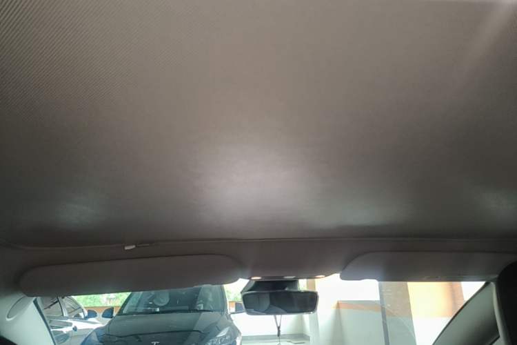 Used Tesla Model 3 2022 Rear-Wheel-Drive Version Headliner