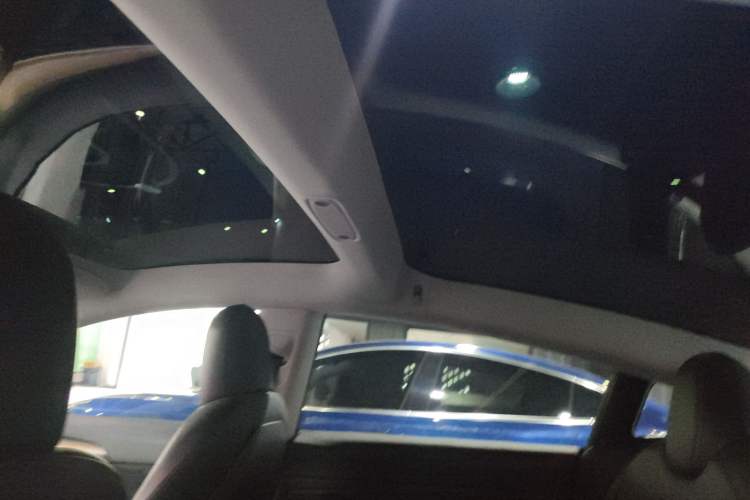 Used Tesla Model 3 2022 Rear-Wheel-Drive Version Headliner