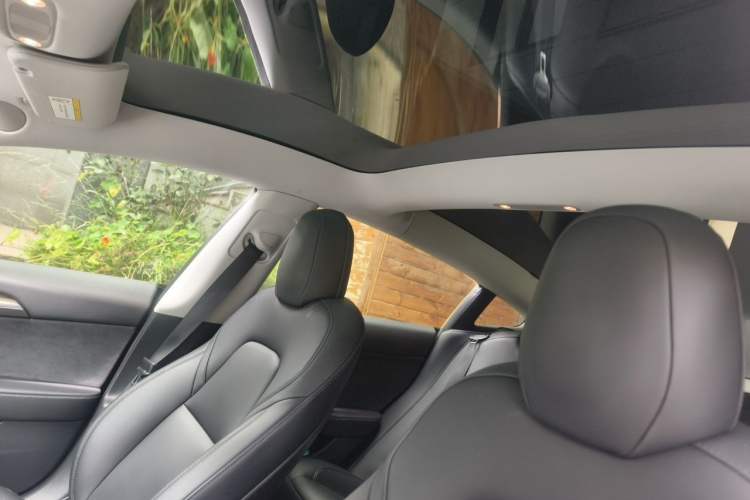 Used Tesla Model 3 2022 Performance High-Performance All-Wheel-Drive Version Headliner