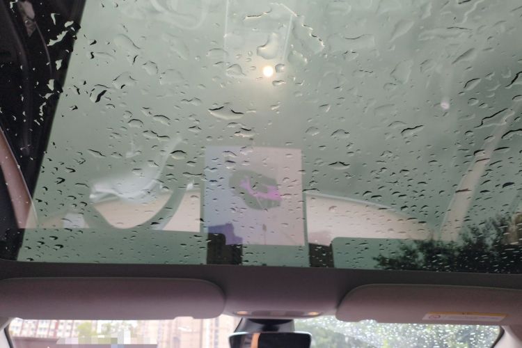 Used Tesla Model 3 2022 Rear-Wheel-Drive Version Headliner
