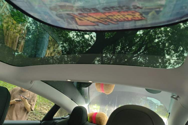 Used Tesla Model 3 2022 Rear-Wheel-Drive Version Headliner