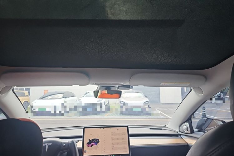 Used Tesla Model 3 2022 Rear-Wheel-Drive Version Headliner
