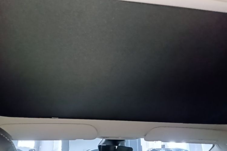 Used Tesla Model 3 2022 Rear-Wheel-Drive Version Headliner
