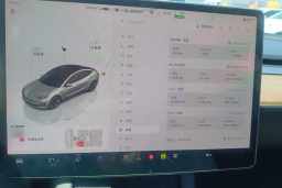 Thumbnail 20