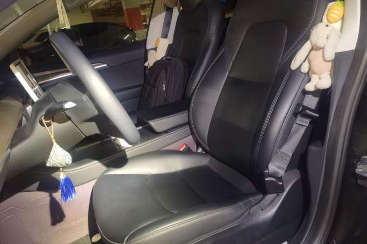 Used Tesla Model 3 2022 Rear-Wheel-Drive Version Interior 1