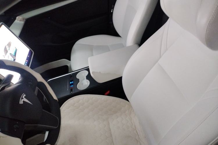 Used Tesla Model 3 2022 Rear-Wheel-Drive Version Left Front Seat