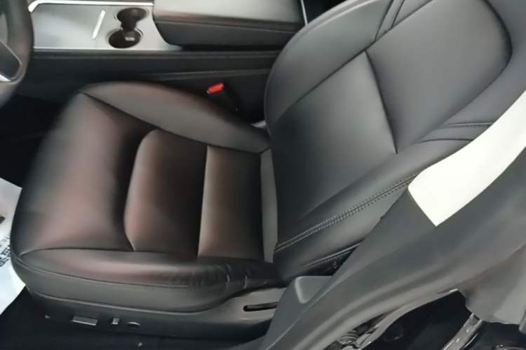 Used Tesla Model 3 2022 Rear-Wheel-Drive Version Left Front Seat