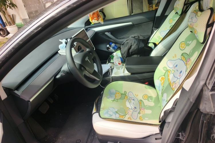 Used Tesla Model 3 2022 Rear-Wheel-Drive Version Left Front Seat