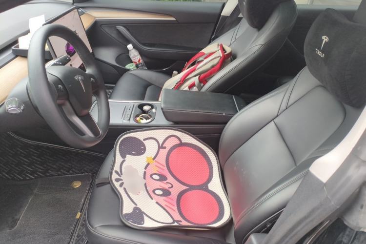 Used Tesla Model 3 2022 Rear-Wheel-Drive Version Left Front Seat