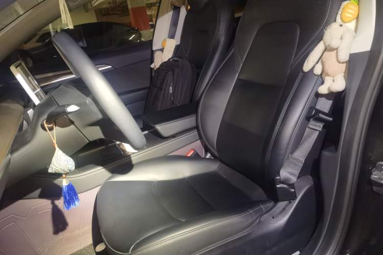 Used Tesla Model 3 2022 Rear-Wheel-Drive Version Left Front Seat