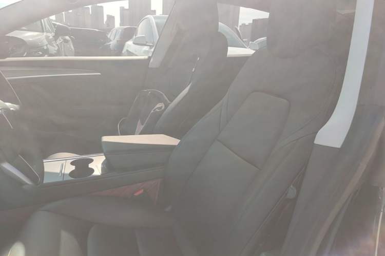 Used Tesla Model 3 2022 Rear-Wheel-Drive Version Left Front Seat