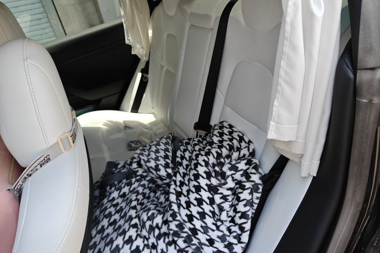 Used Tesla Model 3 2022 Rear-Wheel-Drive Version Left Rear Seat