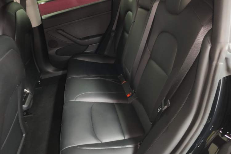 Used Tesla Model 3 2022 Rear-Wheel-Drive Version Left Rear Seat