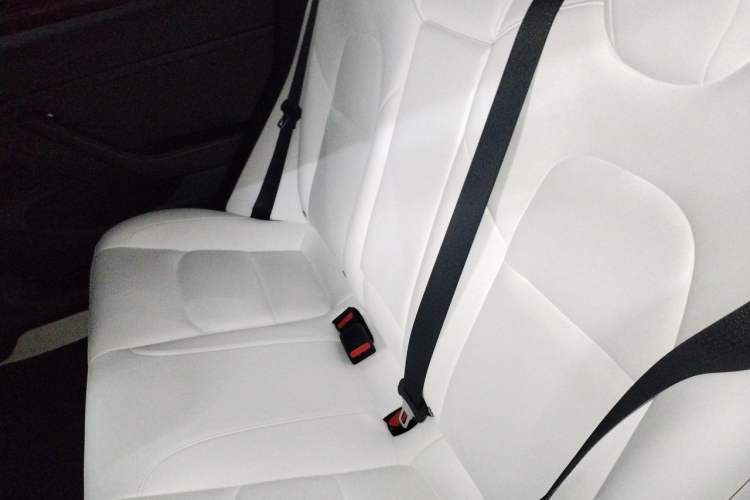 Used Tesla Model 3 2022 Rear-Wheel-Drive Version Left Rear Seat
