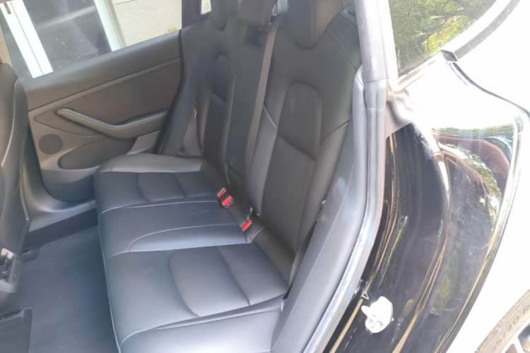 Used Tesla Model 3 2022 Performance High-Performance All-Wheel-Drive Version Left Rear Seat
