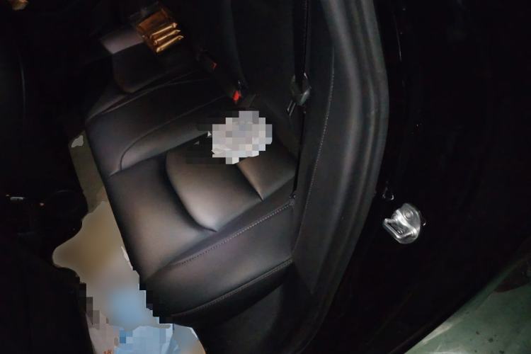 Used Tesla Model 3 2022 Rear-Wheel-Drive Version Left Rear Seat