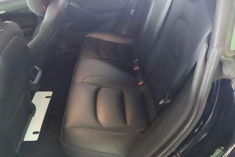 Used Tesla Model 3 2022 Rear-Wheel-Drive Version Left Rear Seat