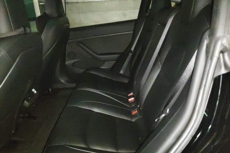 Used Tesla Model 3 2022 Rear-Wheel-Drive Version Left Rear Seat