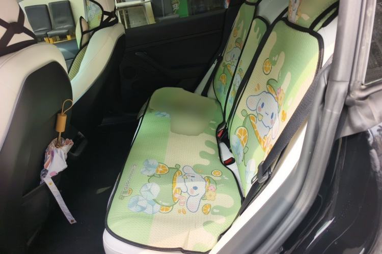 Used Tesla Model 3 2022 Rear-Wheel-Drive Version Left Rear Seat